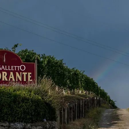 Mongalletto Venkovský dům *