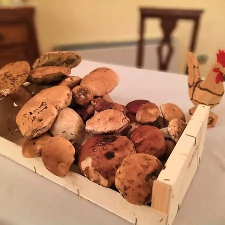 Mongalletto Castellinaldo